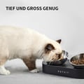 PETKIT CYBERTAIL Erhöhte Schüssel aus Edelstahl, geneigt, Futternapf und Futterschüsseln, rutschfest, ohne Verschütten, für Katzen und kleine Hunde