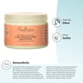 Shea Moisture Coconut und Hibiscus Curl Enhancing Smoothie