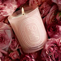  Diptyque Paris Roses (Rosen) - Mittelgroße Kerze 