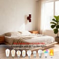 niuniaj Indoor Wall Light, 2 Bulbs, Up and Down Wall Light, Wall Lighting | E27 
