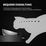 PETKIT CYBERTAIL Erhöhte Schüssel aus Edelstahl