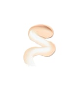 The Perfector Poreless Blur Primer