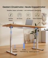 FlexiSpot Höhenverstellbare Schreibtische