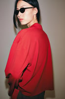 ZARA LANGARM-POLO, image 3 of 4