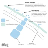Beauty and the Benefit The Natural Deodorant co. Gentle Deodorant Cream Coconut + Shea