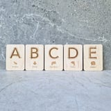 Sensorische Buchstabenkarten LIV
