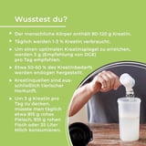 Kreatin Monohydrat Pulver 1000g | 293 Portionen - geschmacklos