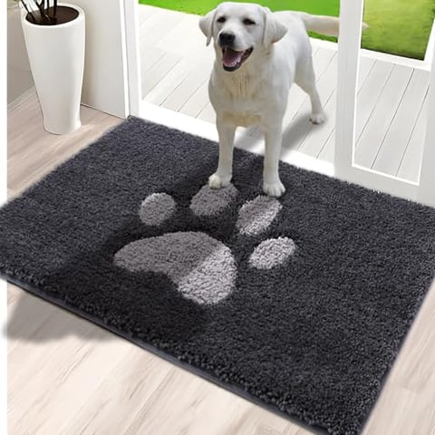 Oiilores Innen Fußmatte, rutschfeste Schmutzfang- und Sauberlaufmatte, maschinenwaschbar, wasserabsorbierende Tür- und Eingangstürmatte, ideal für Hund, Haustür, Dunkelgrau, 80 x 120 cm