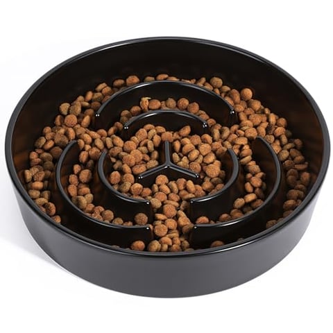 PETTOM Anti Schling Napf Hund Ø 21 cm