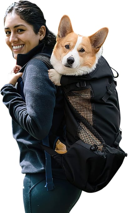 Galatée Hundetragerucksack, Tragbarer Verstellbarer Hunderucksack, Belüfteter Haustiertragerucksack, Haustierrucksack Zum Wandern Im Freien Wandern Bergsteigen Reisen(S, Schwarz)