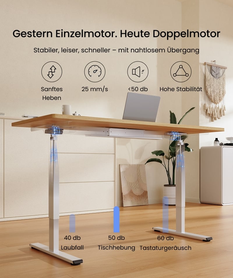 FlexiSpot Höhenverstellbare Schreibtische
